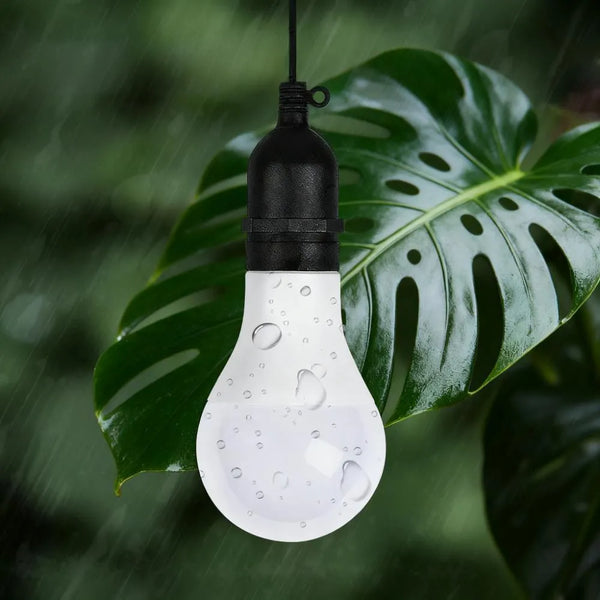 DC 12V LED bulb delivers portable illumination